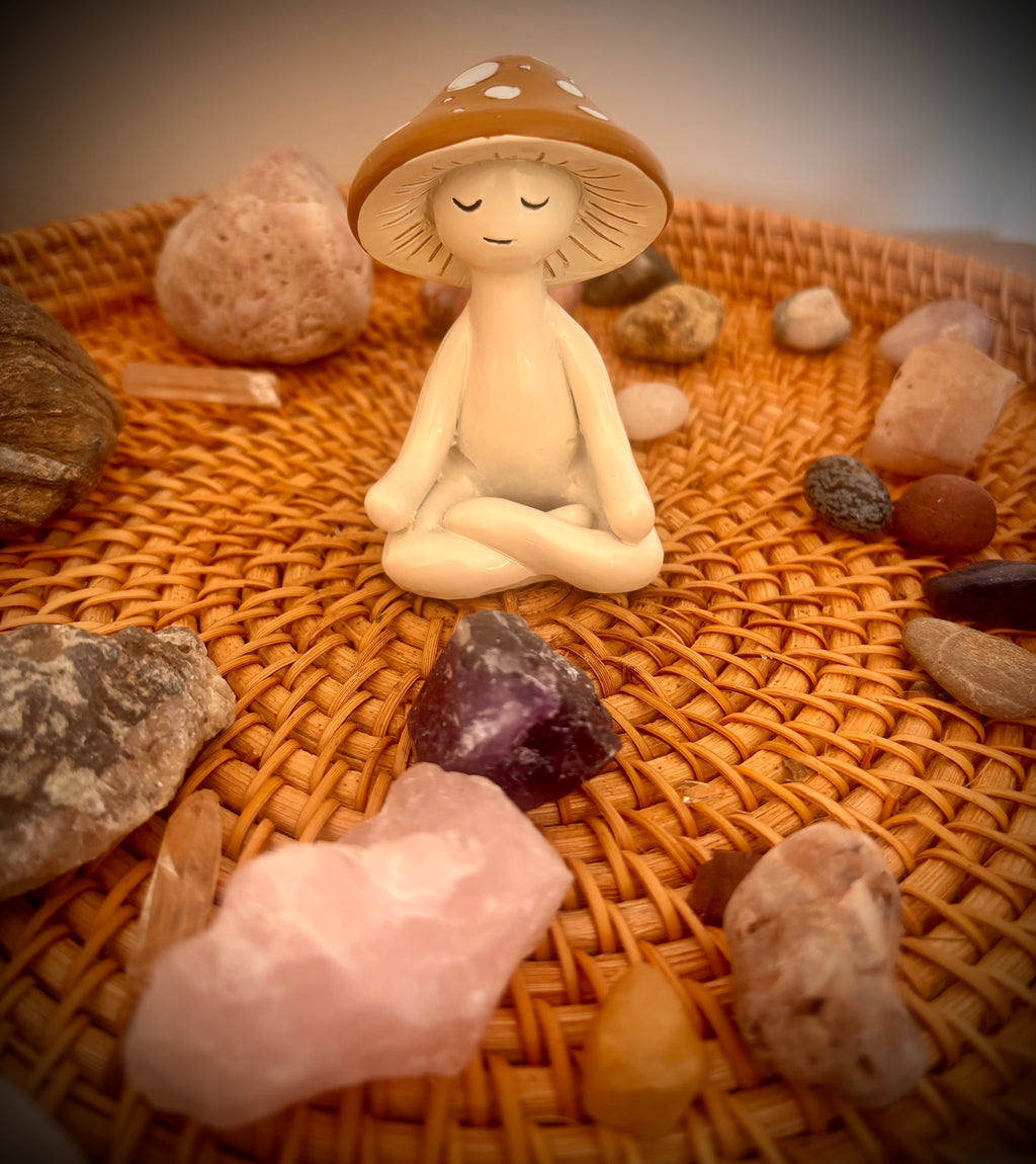 Meditation Mushroom Companion