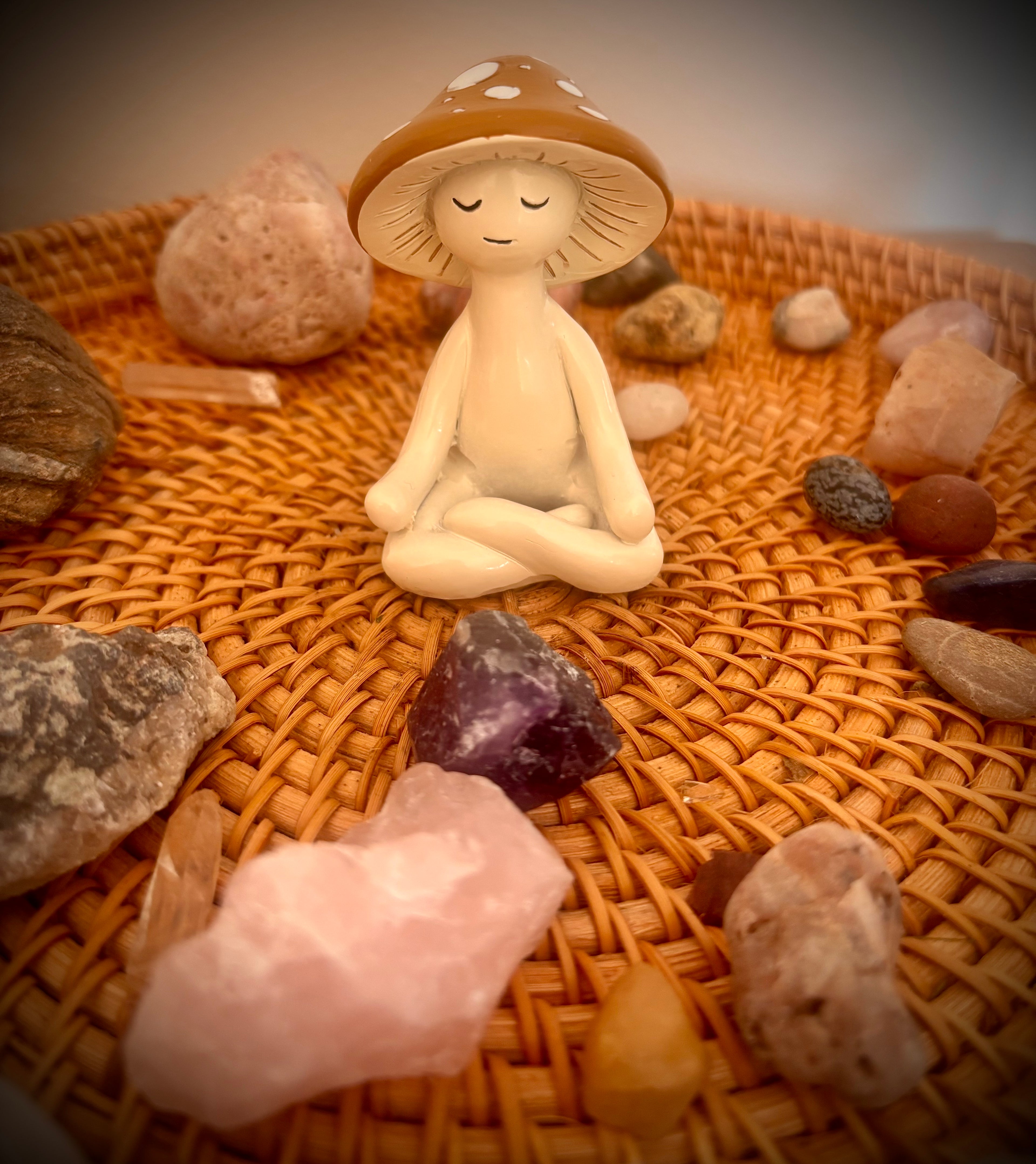 Meditation Mushroom Companion