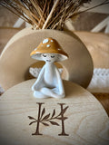 Meditation Mushroom Companion