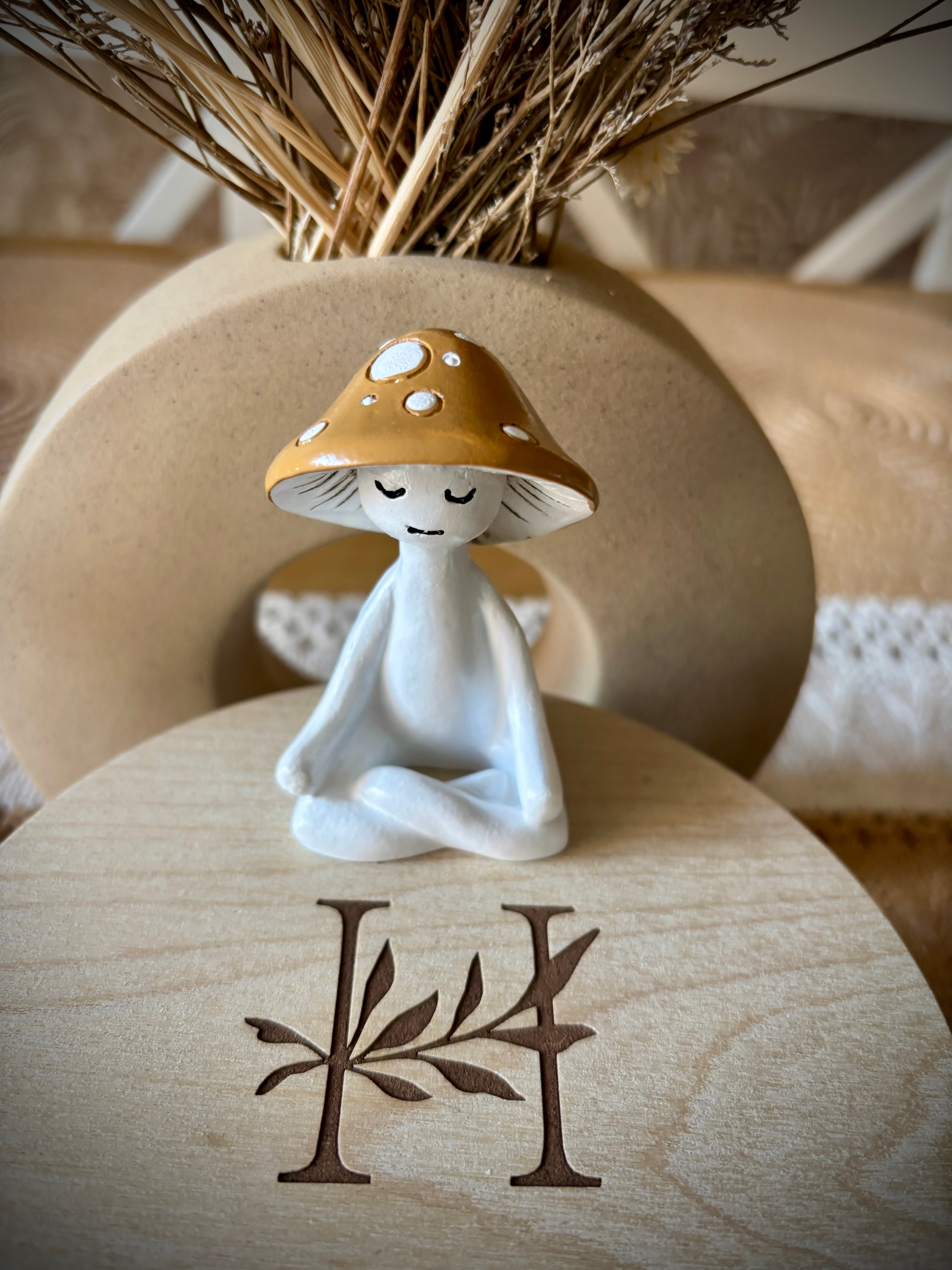 Meditation Mushroom Companion