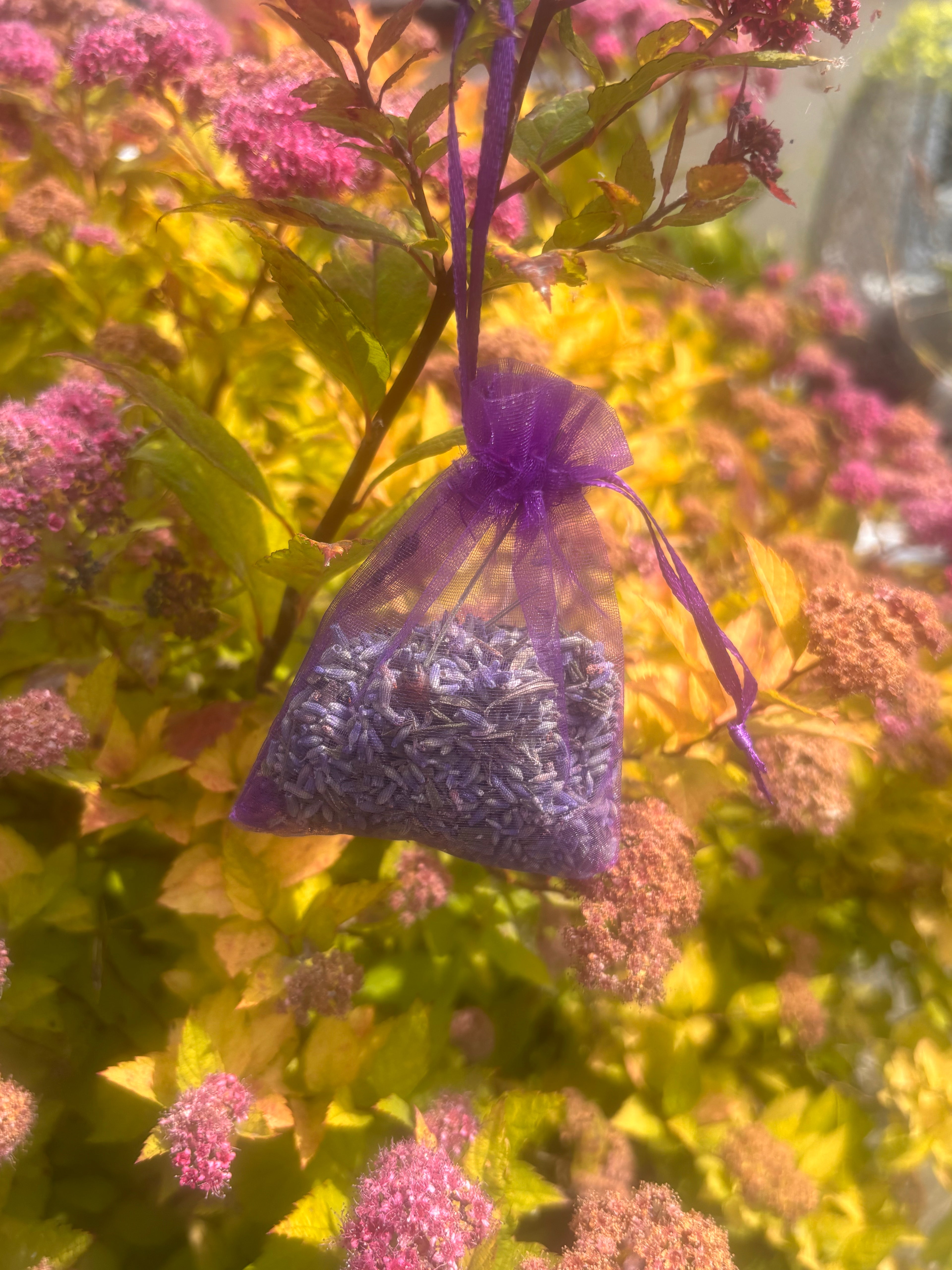 I'm New Here Holistic Gift Box