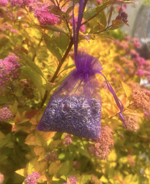 The 7 Chakras Holistic Gift Box