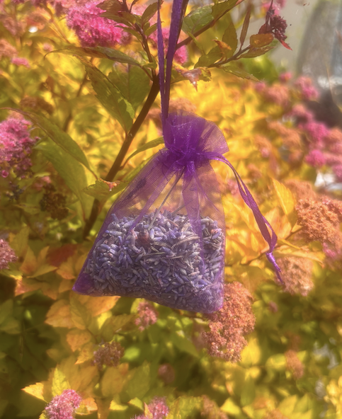 Manifest Magic Gift Box